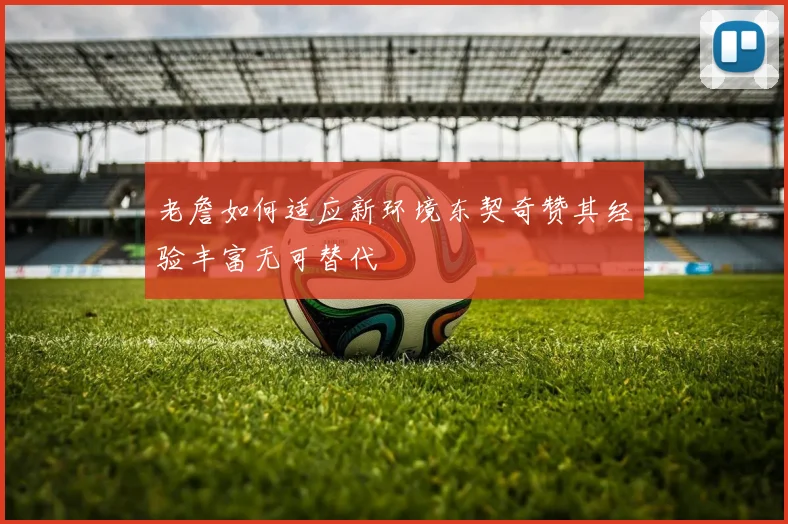 老詹如何适应新环境东契奇赞其经验丰富无可替代